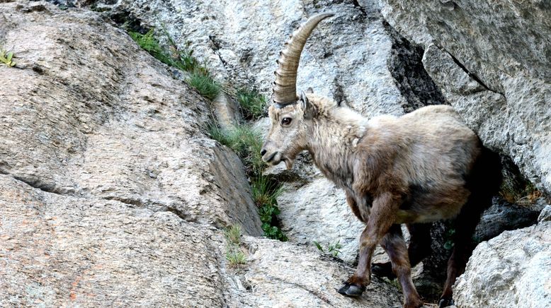 Europas verborgene Naturwunder