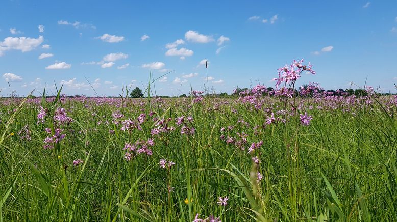 Einsatz im Naturparadies