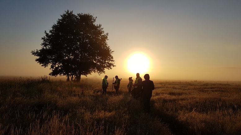 Einsatz im Naturparadies