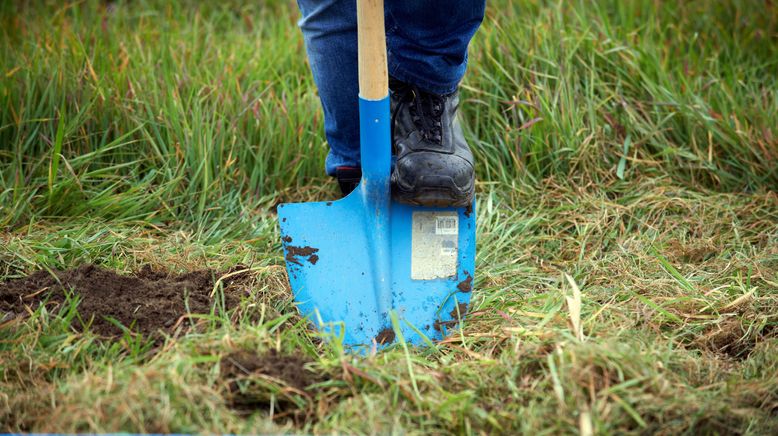 rbb Gartenzeit