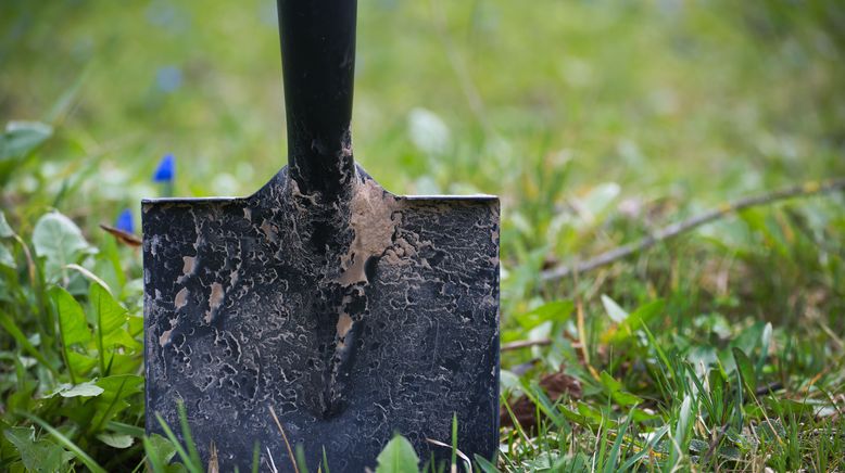 rbb Gartenzeit