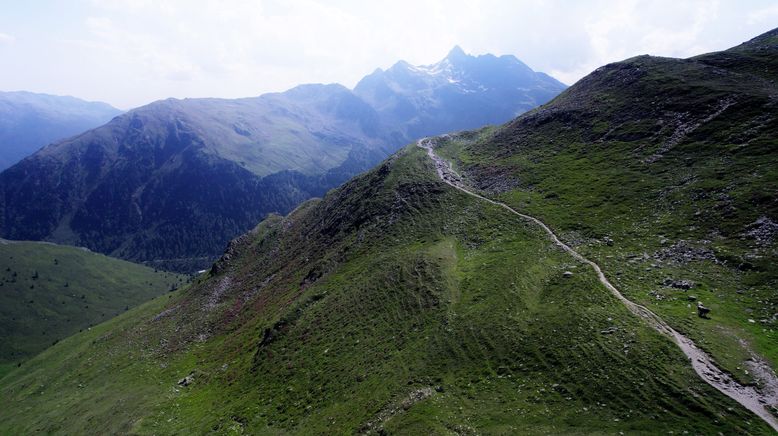 Bergbäuerinnen in Südtirol