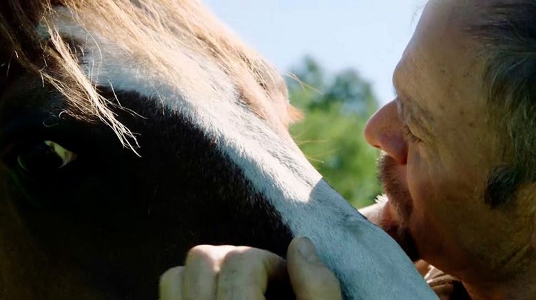 Der Pferdeflüsterer und sein Mustang - Pferdetraining im Appenzellerland