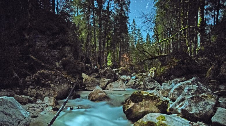 Der Bach - Naturjuwel vor der Haustür