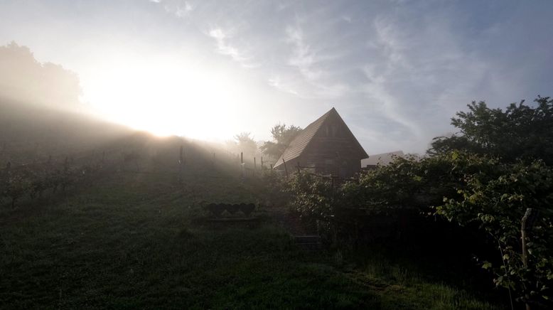 Vom Sonnenberg zum Goldberg - Wandern am Bernsteintrail