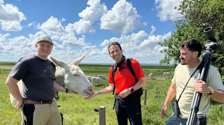 Vom Sonnenberg zum Goldberg - Wandern am Bernsteintrail