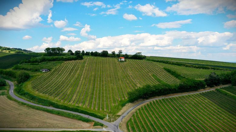 Vom Sonnenberg zum Goldberg - Wandern am Bernsteintrail