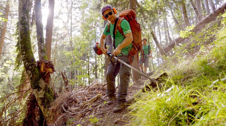 Die schönsten Wanderwege Österreichs