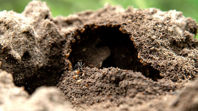 Tierische Wohngemeinschaften