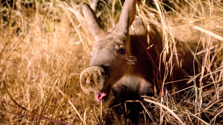 Tierische Wohngemeinschaften