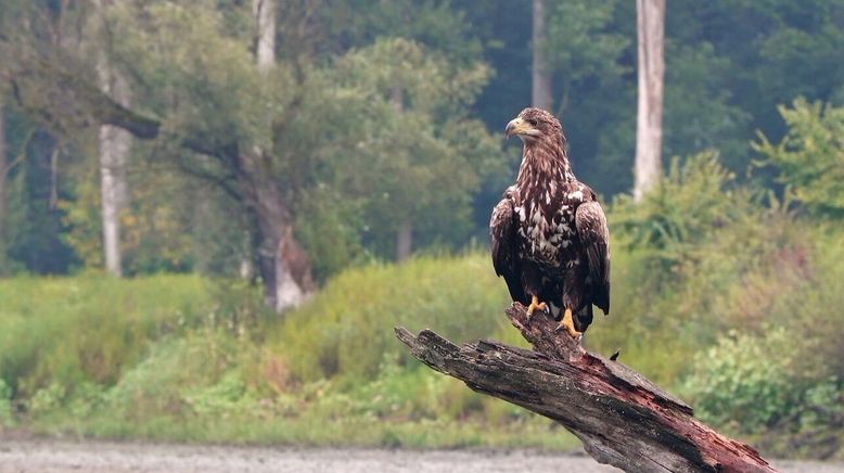 Europas verborgene Naturwunder