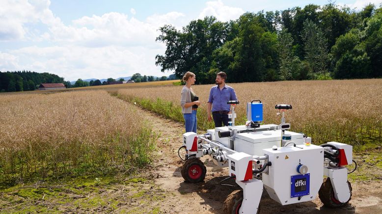 Künstliche Intelligenz in der Landwirtschaft