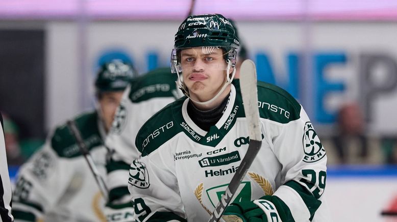 Eishockey - Svenska Hockeyligan