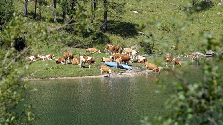 Die schönsten Bergseen der Steiermark