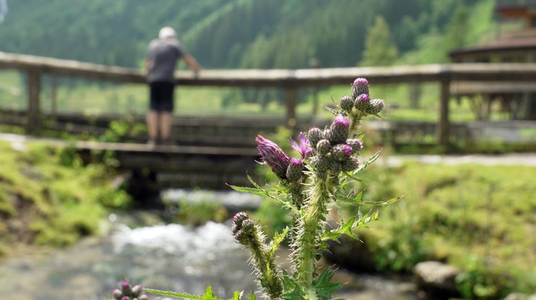 Die schönsten Bergseen der Steiermark