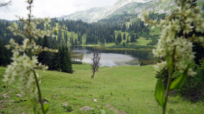 Die schönsten Bergseen der Steiermark