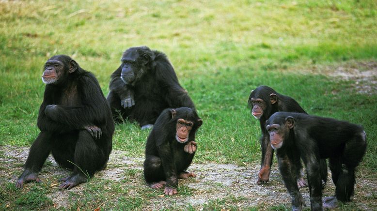 Taronga Zoo Hautnah