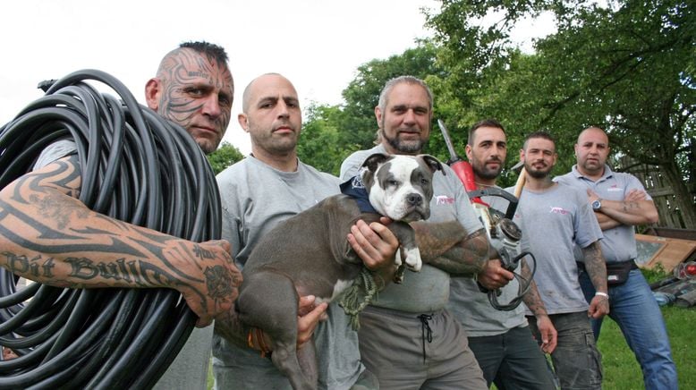 Harte Hunde - Ralf Seeger greift ein