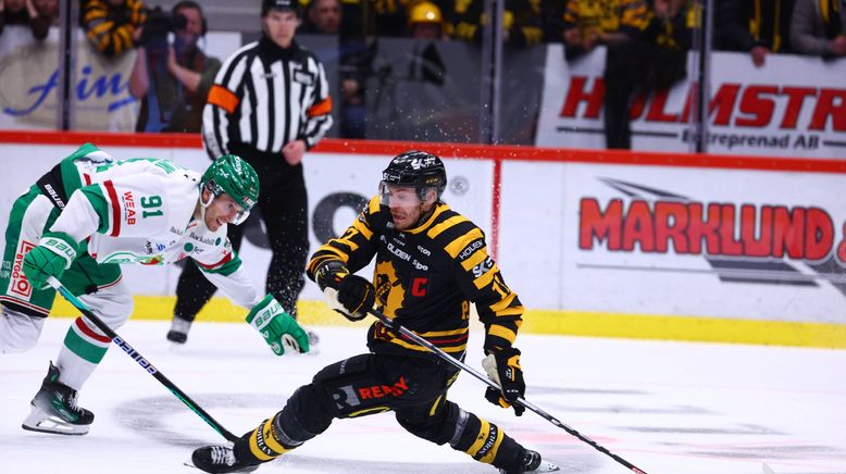 Eishockey Live - Svenska Hockeyligan