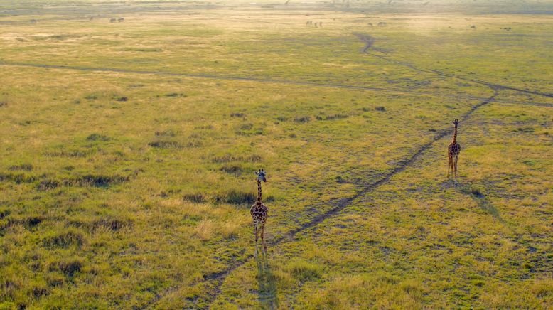 Afrika: Kontinent der Vielfalt