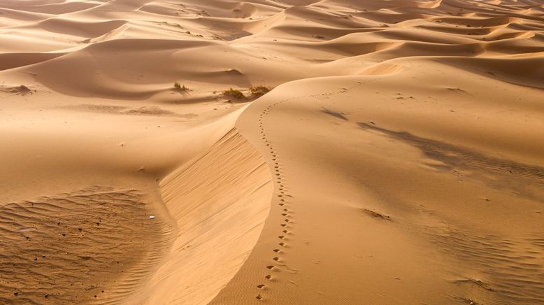 Afrika: Kontinent der Vielfalt