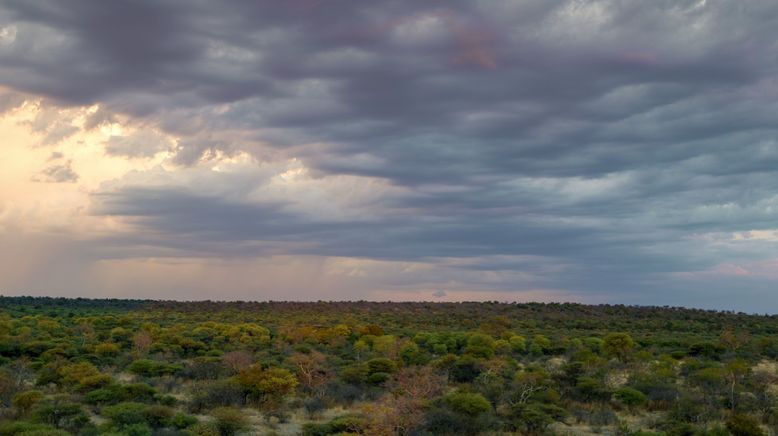 Afrika von oben