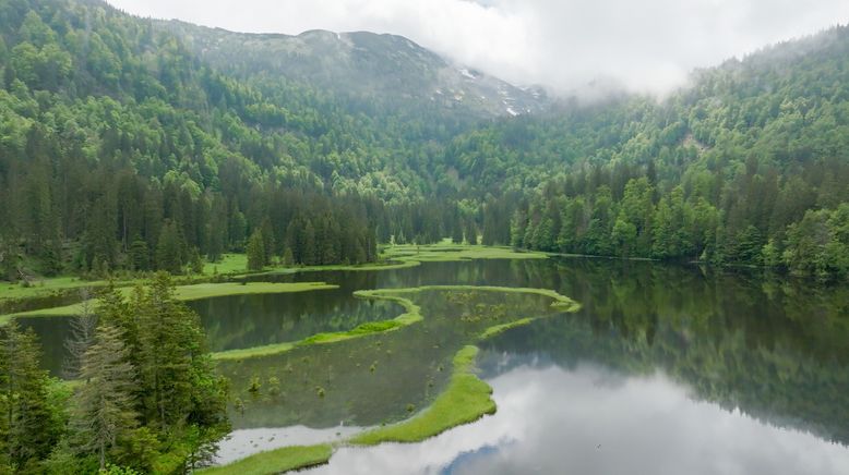 Seenland Österreich