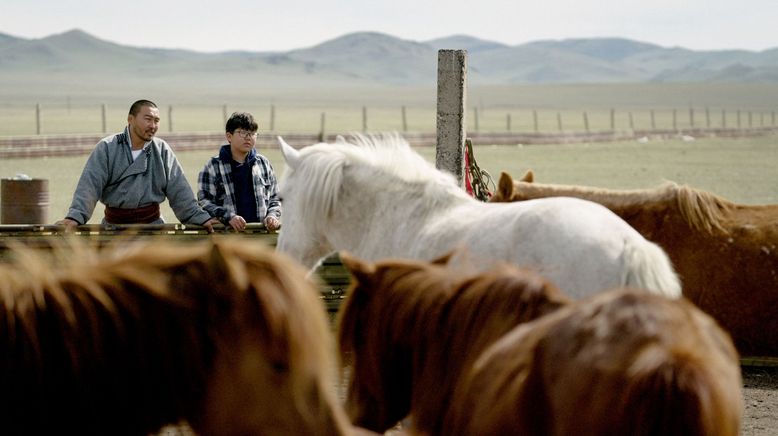 Mongolei: Der Pferderetter