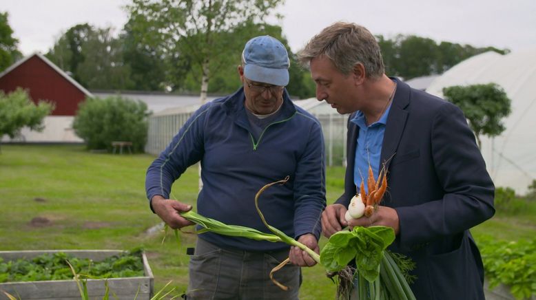 Smaklig Måltid - Schweden kulinarisch