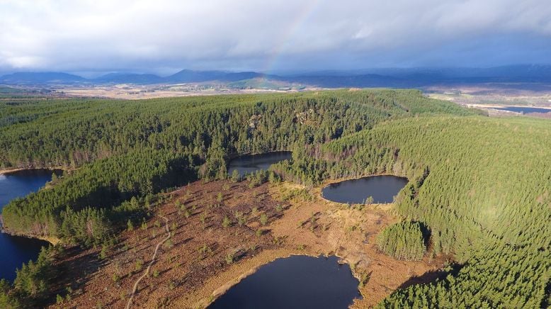 Schottland - Der Ruf der Wildnis