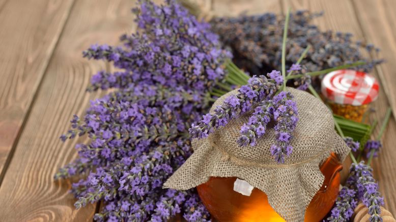 Die Herren des Lavendel