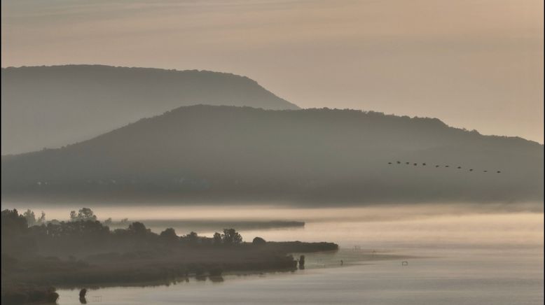 Stille Wasser