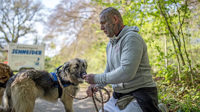 Harte Hunde - Ralf Seeger greift ein