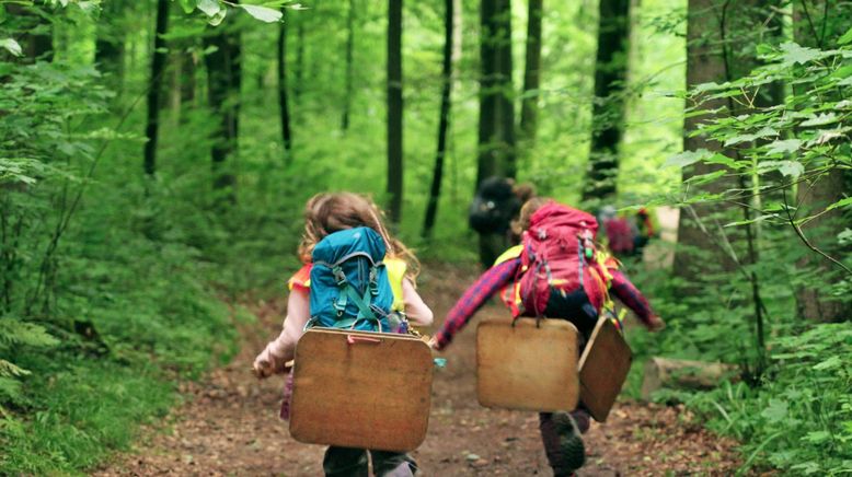 Der Wald ist mein Schulzimmer - Wie Kinder im Freien lernen