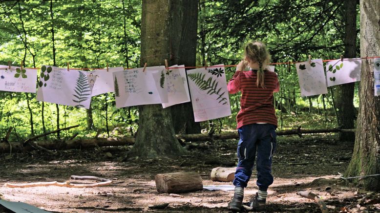 Der Wald ist mein Schulzimmer - Wie Kinder im Freien lernen