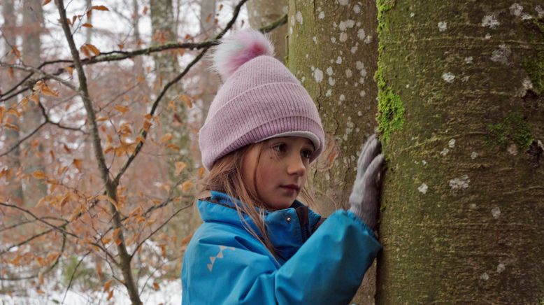 Der Wald ist mein Schulzimmer - Wie Kinder im Freien lernen