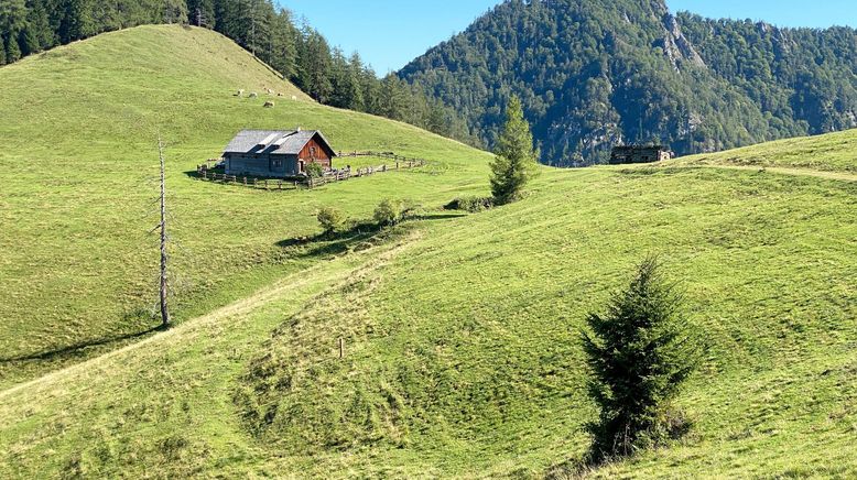 Österreichs Wilde Mitte: Der Luchs-Trail