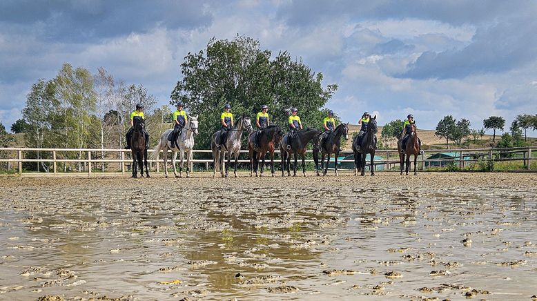 Sattelfest - Sachsens Polizeireiterstaffel im Einsatz