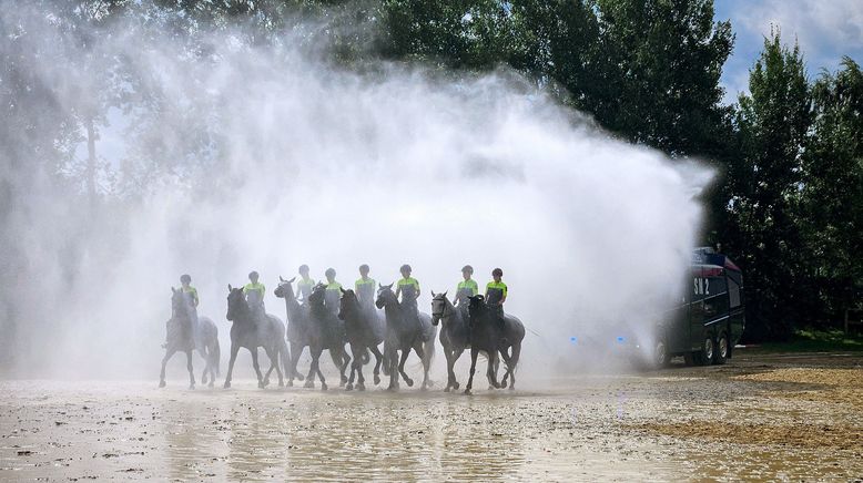 Sattelfest - Sachsens Polizeireiterstaffel im Einsatz