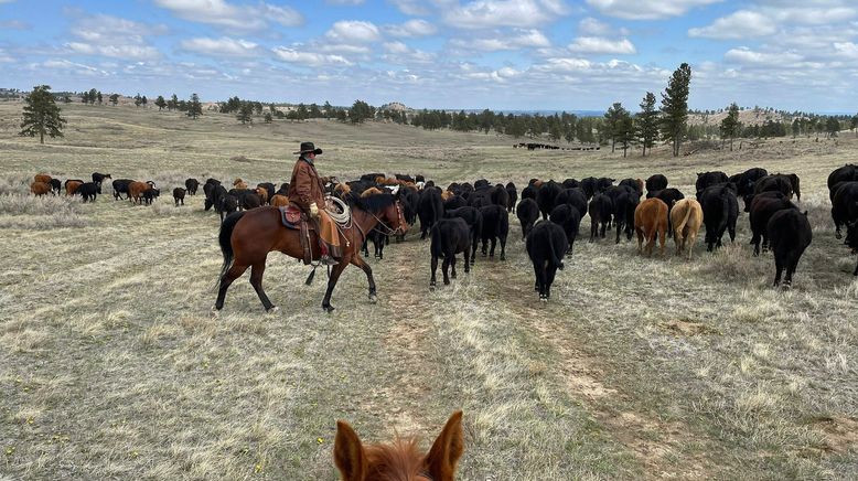 Rocky Mountains - Wo der Westen noch wild ist