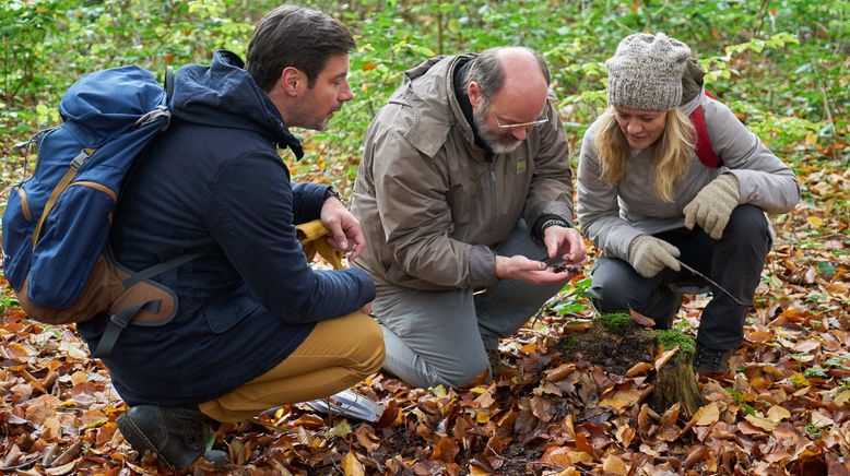 Lust auf Wandern! Vom Ruhrgebiet ins Münsterland