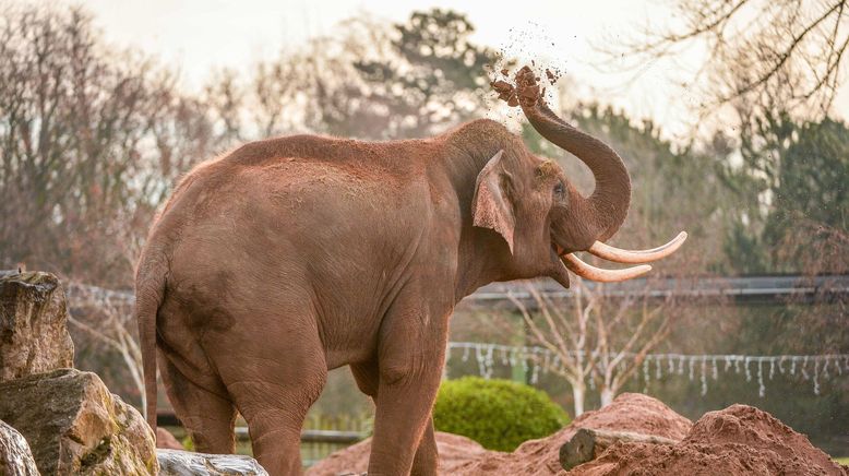 Zoo und so - Tierisch wild!