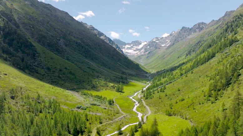 Berge, Menschen und ein genialer Maler: Mathias Schmid