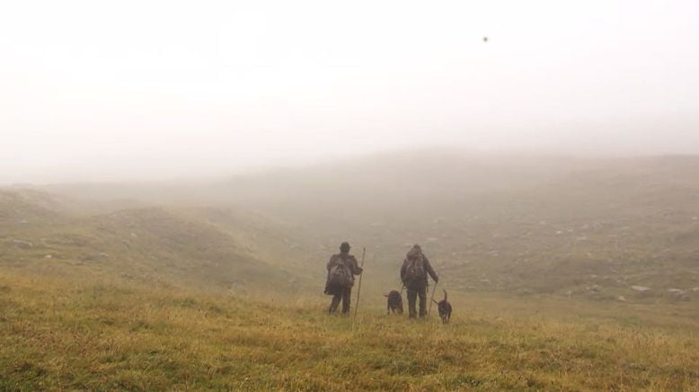 Jagd in Vorarlberg