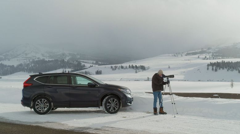 Die Wölfe des Yellowstone: Die nächste Generation