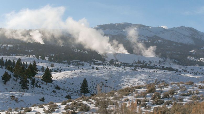 Die Wölfe des Yellowstone: Die nächste Generation