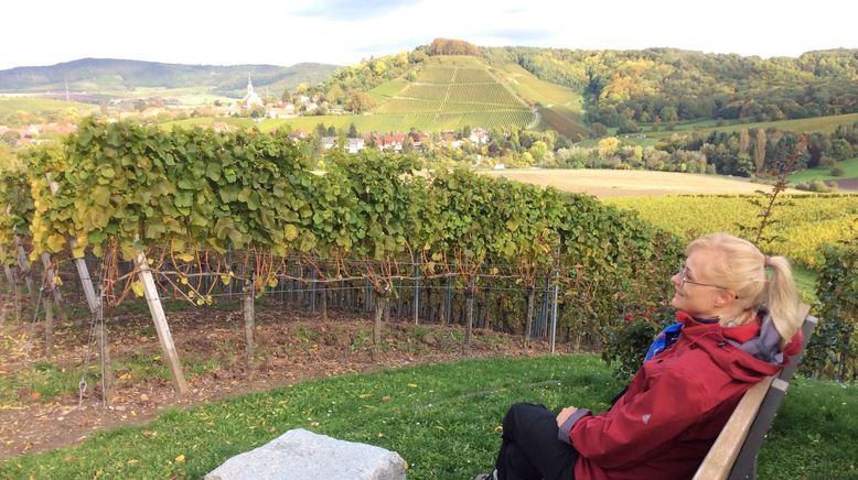 Kelten, Klöster, Kraftorte - Spurensuche im Steigerwald