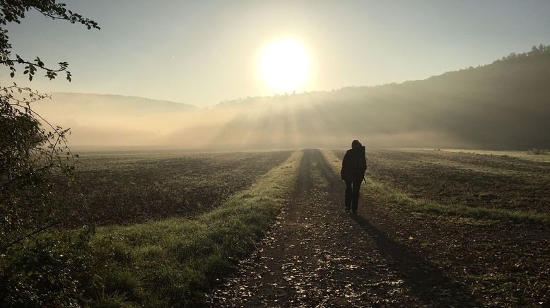 Kelten, Klöster, Kraftorte - Spurensuche im Steigerwald