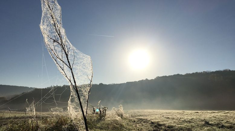 Kelten, Klöster, Kraftorte - Spurensuche im Steigerwald