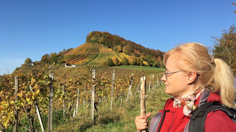 Kelten, Klöster, Kraftorte - Spurensuche im Steigerwald